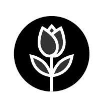 out/pictures/discount_banner/019c9a49-fa21-7ffd-82c6-ecc38bc56528.png Thumbnail