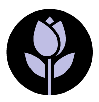 out/pictures/discount_banner/019cae55-622f-763a-8f9b-af3c155931c8.png Thumbnail