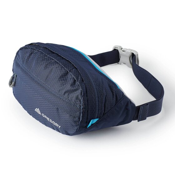 Gregory Nano Waistpack 3.5 Fanny pack 33 cm