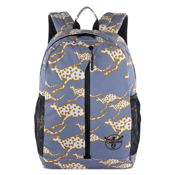 Chiemsee Jump N Fly Daypack 43 cm Laptop compartment