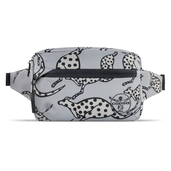 Chiemsee Jump N Fly Fanny pack 22 cm