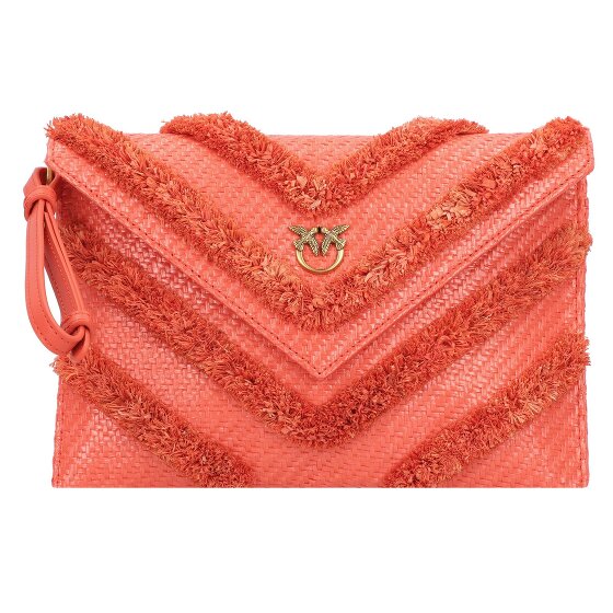 PINKO Flat Purse Clutch bag 23.5 cm