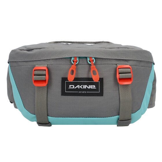 Dakine Hot Laps 1 Fanny pack 17 cm