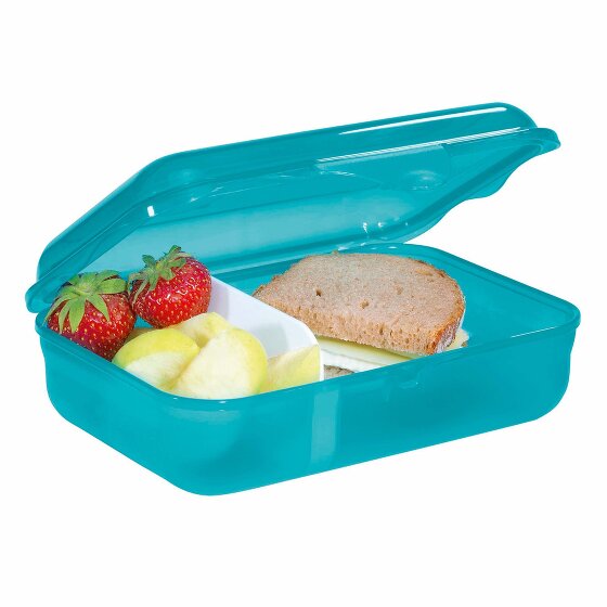 Step by Step lunch box 18 cm