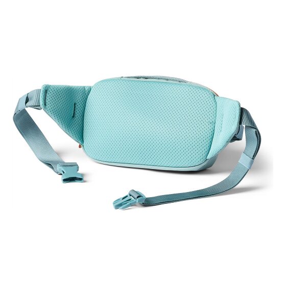 Cotopaxi Allpa Fanny pack 24 cm
