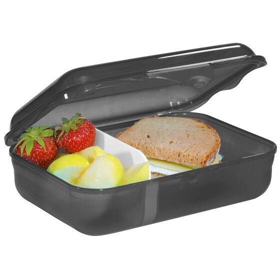 Step by Step Lunch box 18 cm