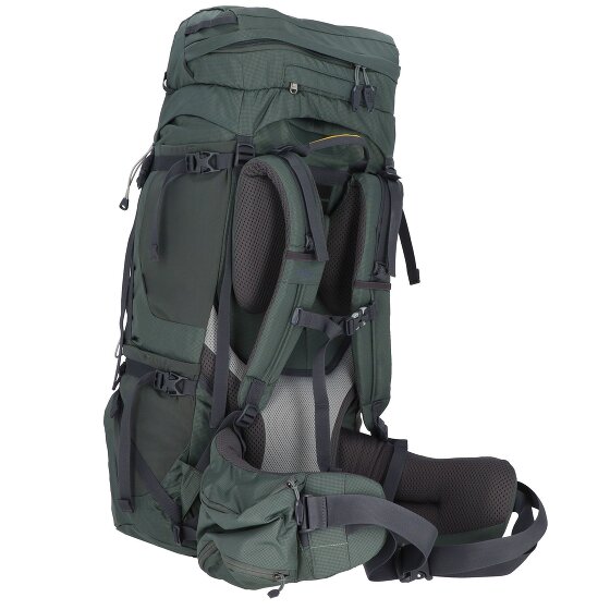Jack Wolfskin Denali 65+10 backpack 78 cm