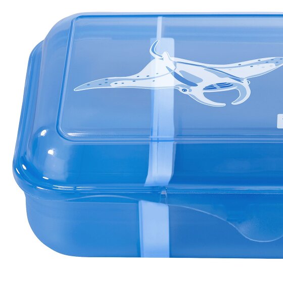 Step by Step lunch box 18 cm