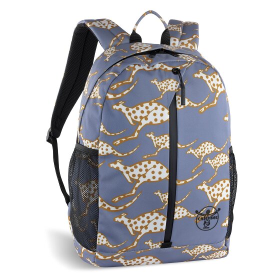 Chiemsee Jump N Fly Daypack 43 cm Laptop compartment