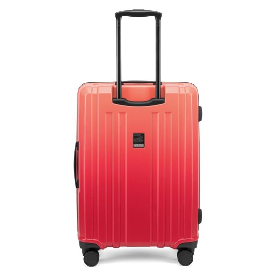 Epic Crate EX Wildlife 4 wheels Suitcase set 3-piece