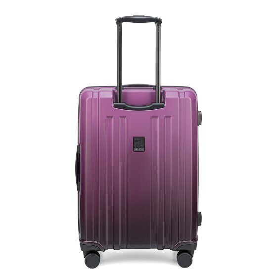 Epic Crate EX Wildlife 4 wheels Suitcase set 3-piece