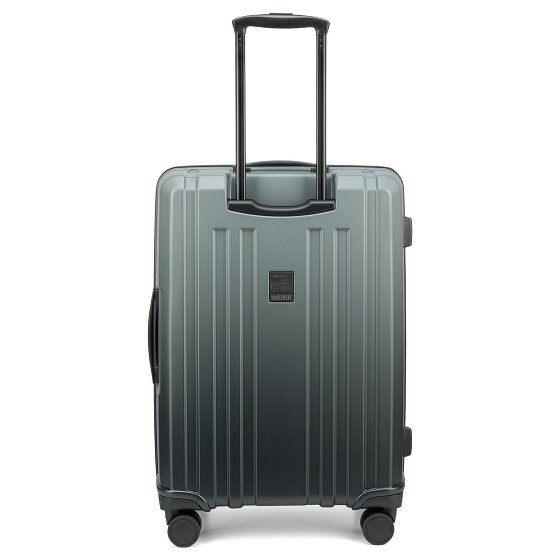 Epic Crate EX Wildlife 4 wheels Suitcase set 3-piece