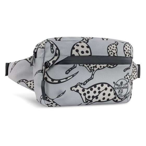 Chiemsee Jump N Fly Fanny pack 22 cm