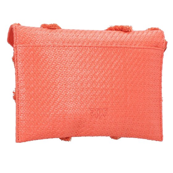 PINKO Flat Purse Clutch bag 23.5 cm