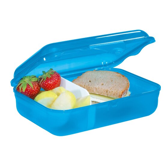 Step by Step Lunch box 18 cm