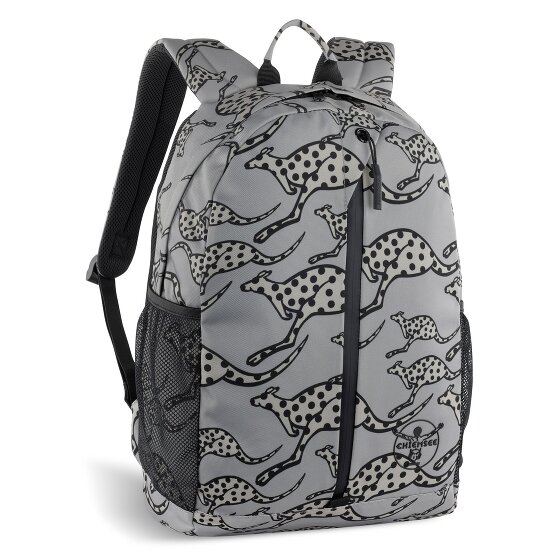 Chiemsee Jump N Fly Daypack 43 cm Laptop compartment