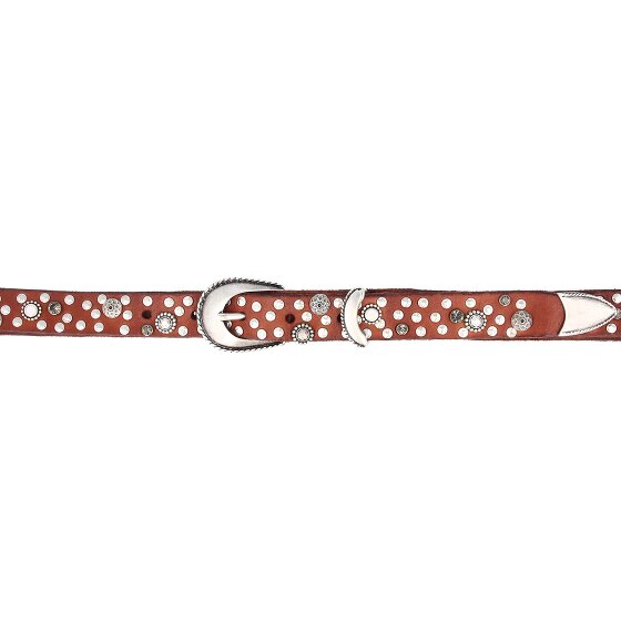 Campomaggi Studded belt leather
