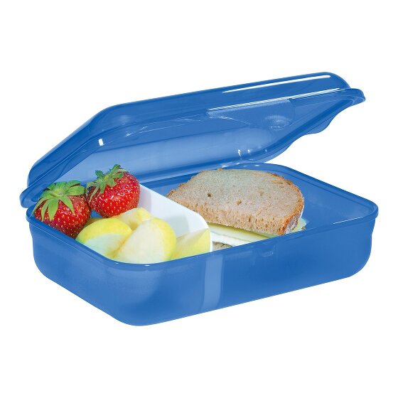 Step by Step Lunch box 18 cm