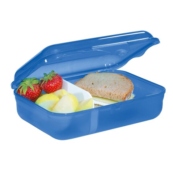 Step by Step Lunch box 18 cm