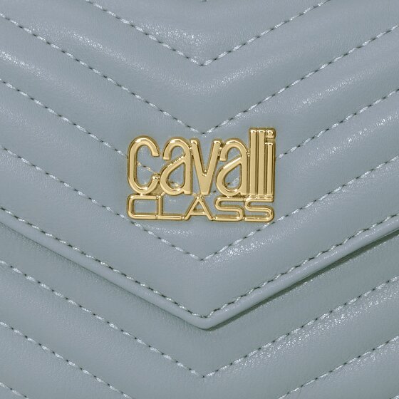 Cavalli Class Valeria Clutch purse 19 cm