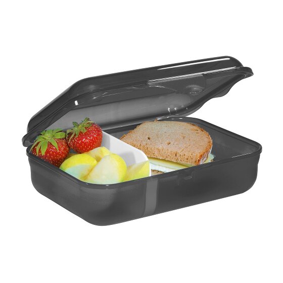 Step by Step Lunch box 18 cm