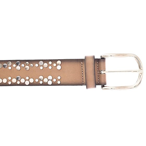 Vanzetti Studded belt leather
