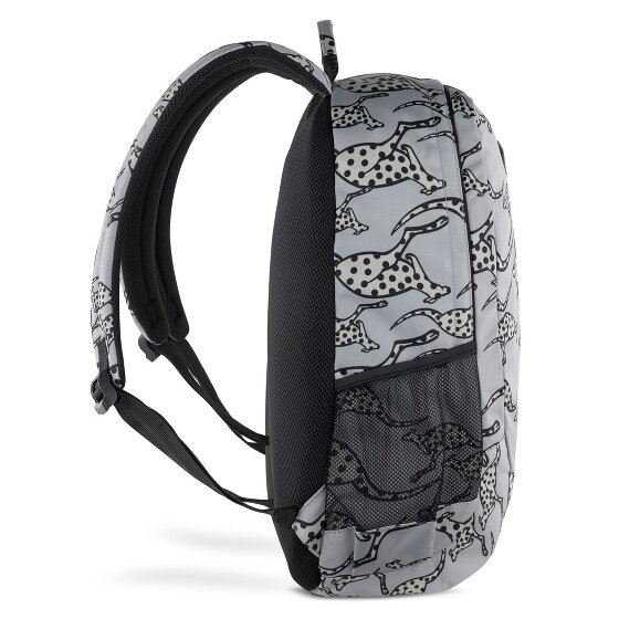 Chiemsee Jump N Fly Daypack 46 cm Laptop compartment
