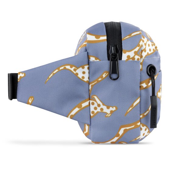 Chiemsee Jump N Fly Fanny pack 22 cm