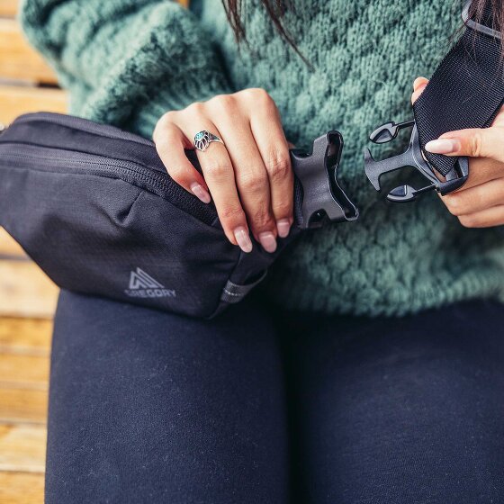 Gregory Everyday Adventure Fanny pack 28 cm