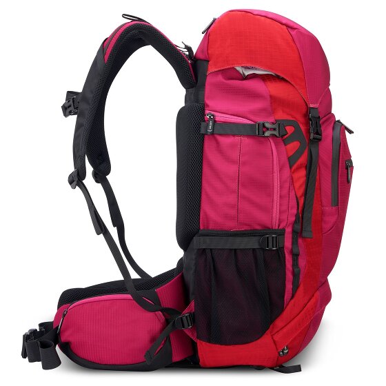 Delsey Paris Nomad L backpack 59 cm laptop compartment