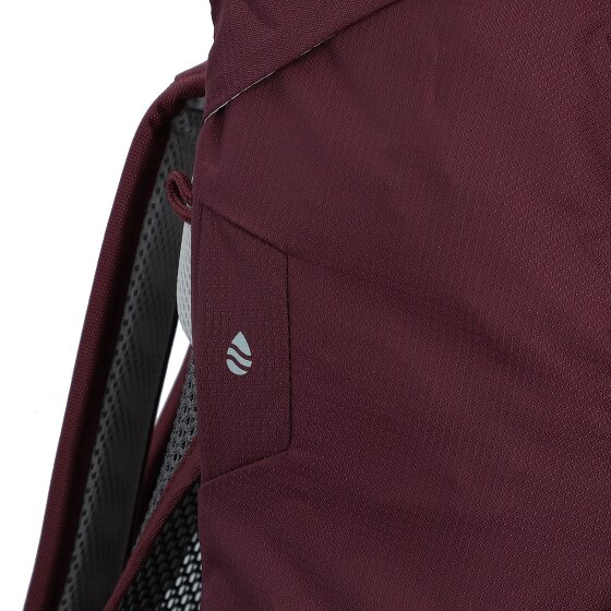 Deuter AC Lite 22 SL Hiking backpack 30 cm