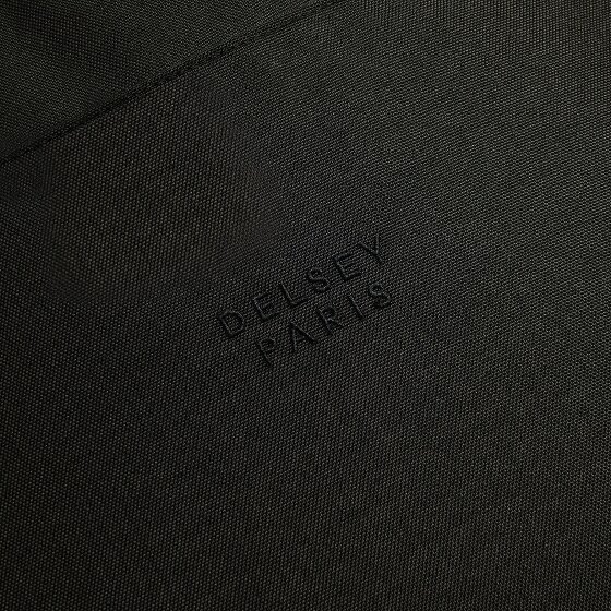 Delsey Paris Esplanade backpack 47 cm laptop compartment