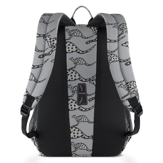 Chiemsee Jump N Fly Daypack 46 cm Laptop compartment