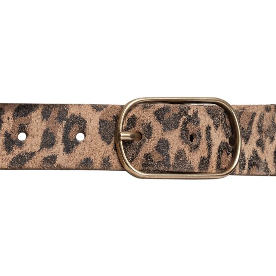 Vanzetti Belt Leather