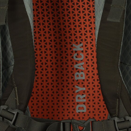 Salewa Alp Trainer 35L Backpack 65 cm