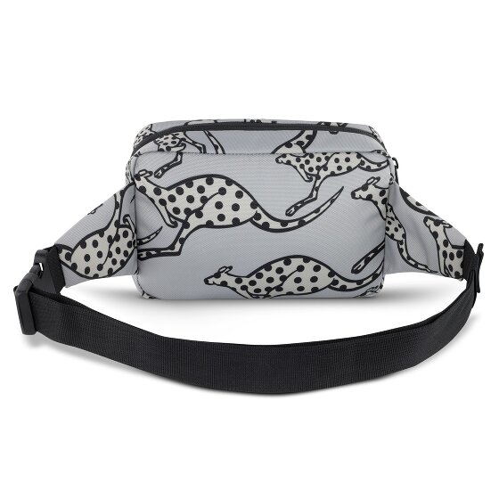 Chiemsee Jump N Fly Fanny pack 22 cm