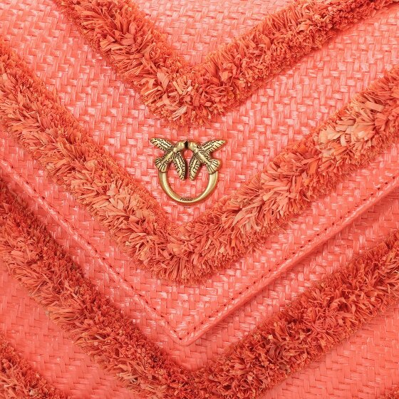 PINKO Flat Purse Clutch bag 23.5 cm