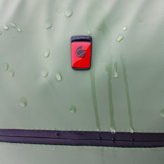 Gladiator 3900 2 wheels Cabin trolley 55 cm Laptop compartment Gladiator 3900 2 wheels Cabin trolley 55 cm Laptop compartment