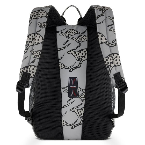 Chiemsee Jump N Fly Daypack 43 cm Laptop compartment