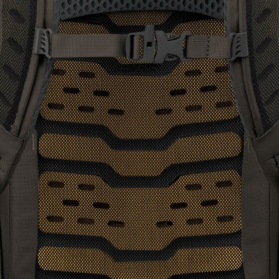 Osprey Kestrel 28 L Trekking backpack 65 cm