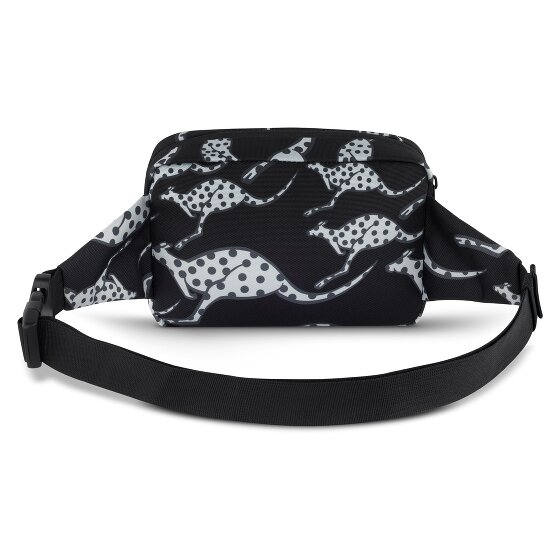 Chiemsee Jump N Fly Fanny pack 22 cm