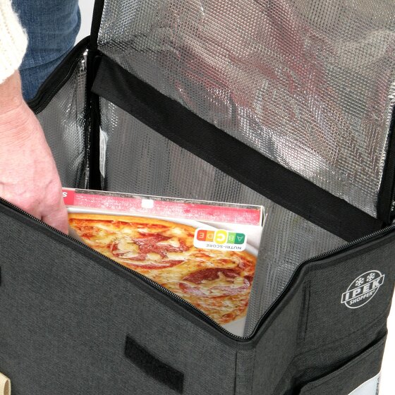 Andersen Shopper Scala Shopper Plus Ipek Ma Shopping Trolley 48 cm Andersen Shopper Scala Shopper Plus Ipek Ma Shopping Trolley 48 cm