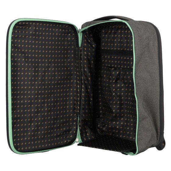 Rollink Flex 21 2 wheels Cabin trolley 55 cm