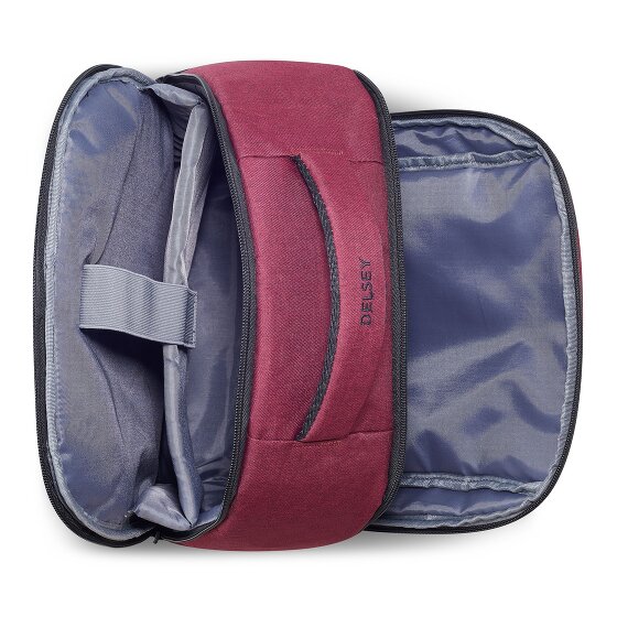 Delsey Paris Element Daypack 44 cm Laptop compartment
