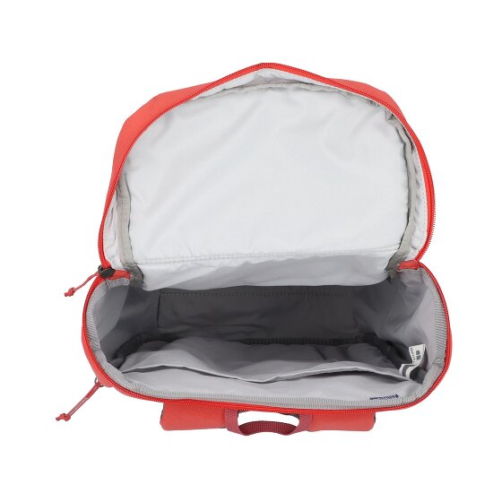 Deuter Overday 15L backpack 41 cm