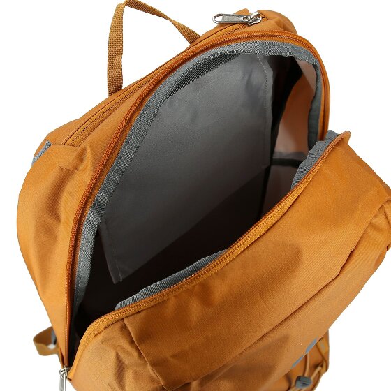 Deuter Gogo Daypack 43 cm