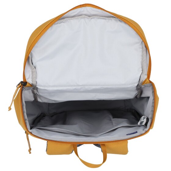 Deuter Overday 15L backpack 41 cm