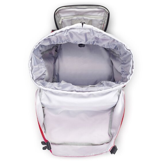 Delsey Paris Nomad L backpack 59 cm laptop compartment