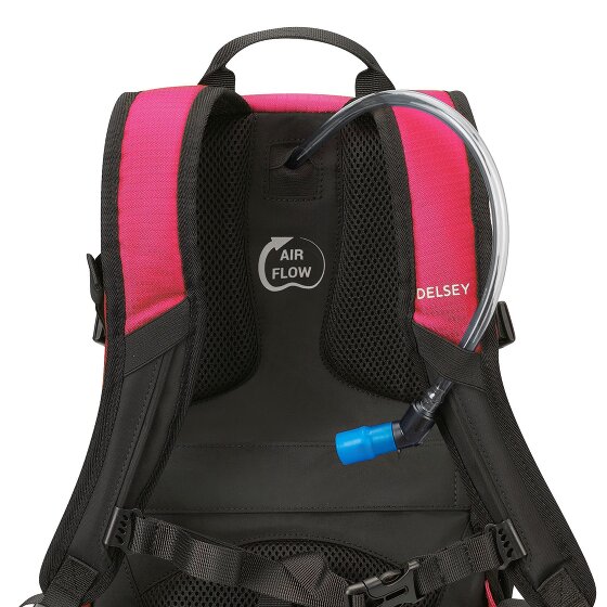 Delsey Paris Nomad S backpack 42 cm laptop compartment