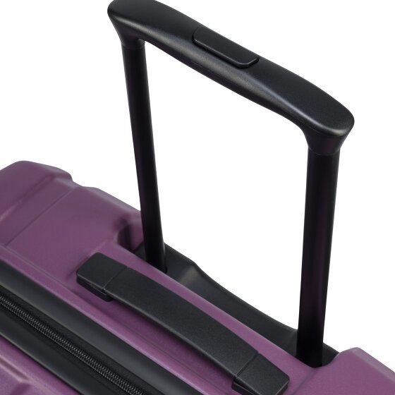 Epic Crate EX Wildlife 4 wheels Suitcase set 3-piece